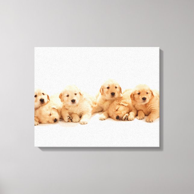 Toile Six Marionnettes Golden Retriever (Recto)