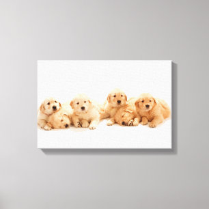 Toile Six Marionnettes Golden Retriever