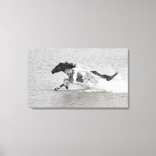 Toile Ski à jet Wild Mundoo