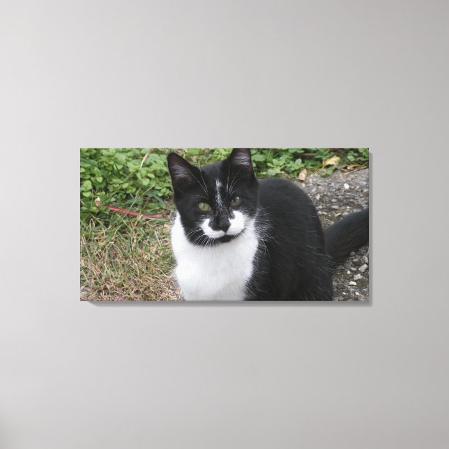 Toile Smiler Charity  (Recto)