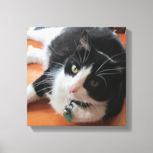 Toile Smokey Le Canvas Chat Imprimer (Recto)