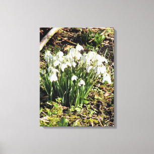 TOILE SNOWDROPS