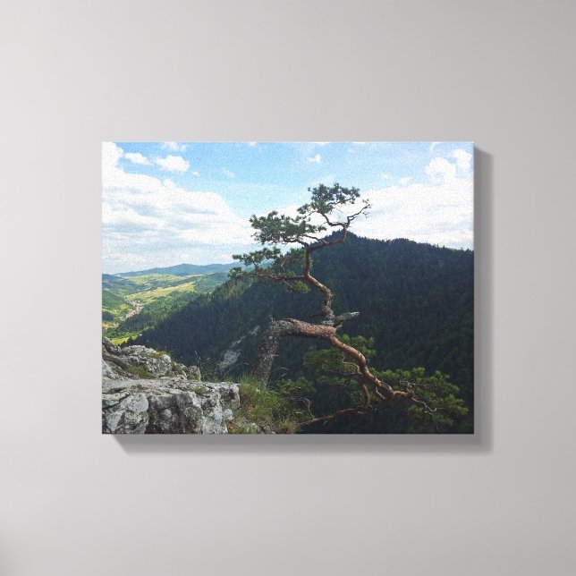 Toile Sokolica, Pieniny (Recto)