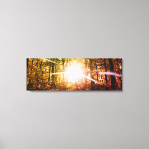 Toile Soleil dans la forêt d'automne