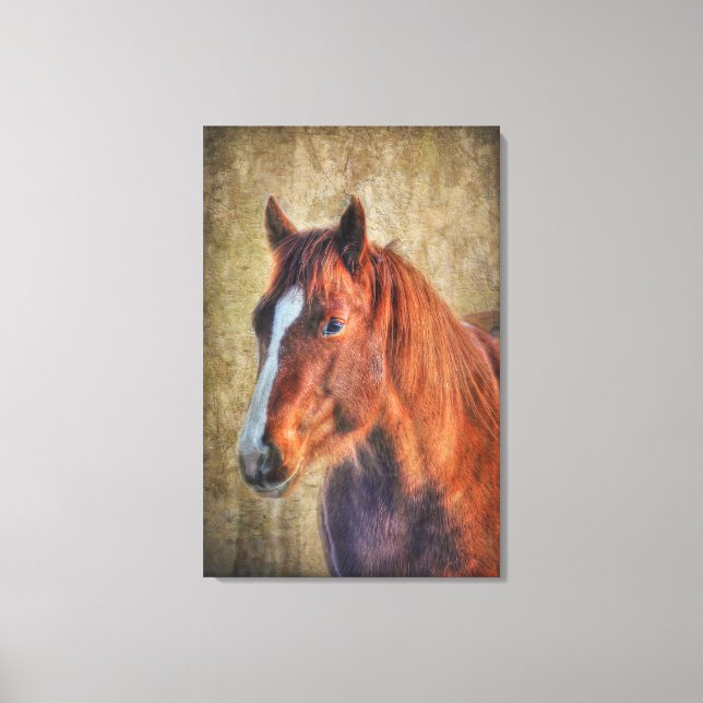 Toile Sorrel Horse Portrait sur Rustic Grunge effet (Recto)