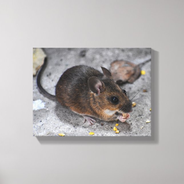 Toile Souris des bois  (Recto)
