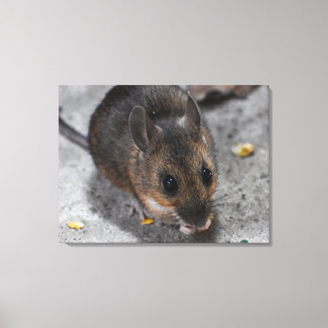 Toile Souris des bois  (Recto)