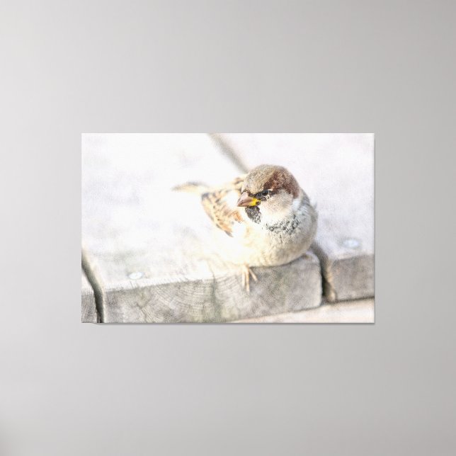 Toile Sparrow - Après la transatlantique (Recto)