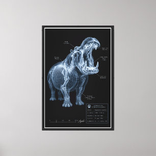 Toile Spécimen de zoo hippopotame aux rayons X
