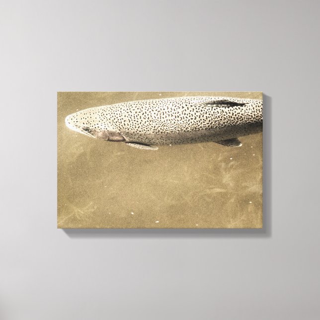 Toile Speckles (Recto)