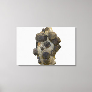 Toile Spessartite dans la matrice