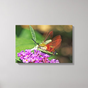 Toile Sphinx à tête de mort