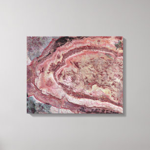 Toile Spider Crater, Australie occidentale