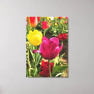 Toile Spring tulips, Oregon