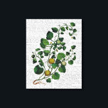Toile Squash Vine 4<br><div class="desc">Botanique et florale</div>