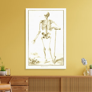 Toile Squelette Vintage, Anatomie Humaine par Denis Dide