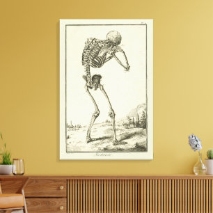 Toile Squelette Vintage, Anatomie Humaine par Denis Dide