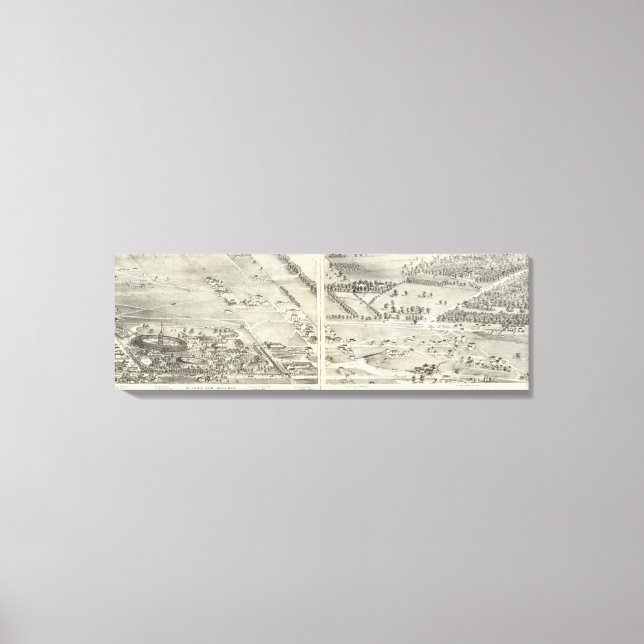 Toile St. Louis, Missouri 17 (Recto)