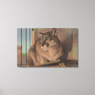 Toile St Petersburg, la Floride - image de la Floride