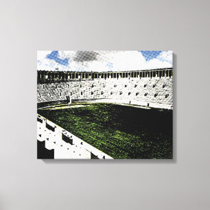 Toile Stade Harvard