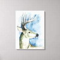 Stag errant - Aquarelle