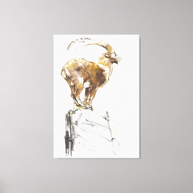 Toile Stambecco d'Oro 2005 (Recto)