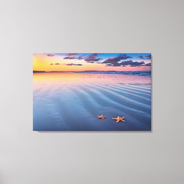 Toile Starfish (Recto)