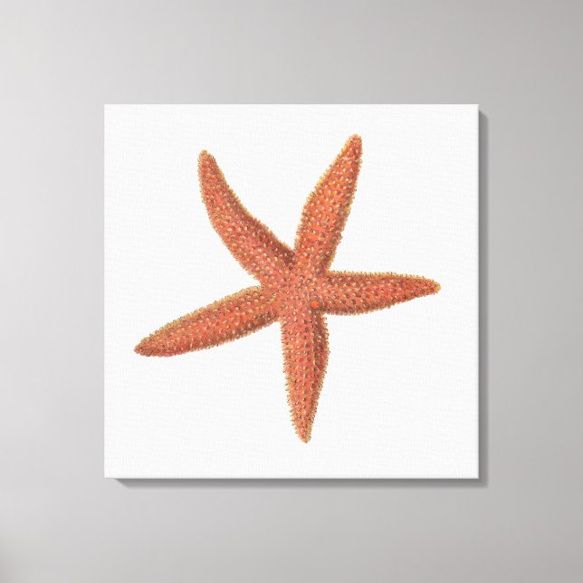 Toile Starfish - Sherman Denton Fish Lithograph (Recto)