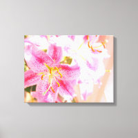 stargazer lily