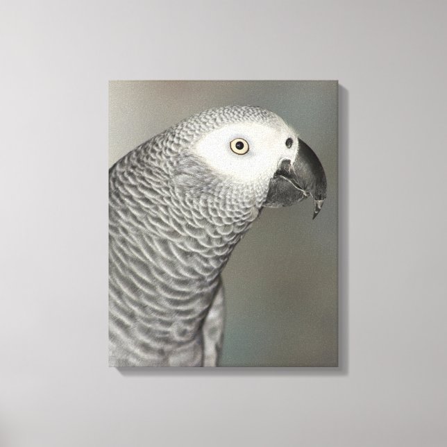 Toile Stately african Grey Parrot (Recto)