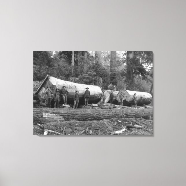 Toile Steam Logging dans les Cascades de Washington Stat (Recto)