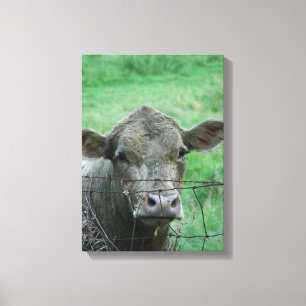 Toile Steer Dit Bonjour