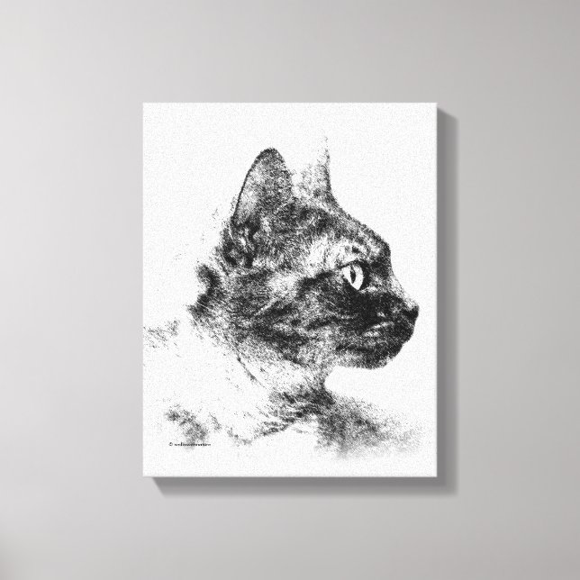Toile Stella la chatte grise - Esquisse au fusain (Recto)