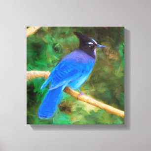 Toile Steller's Jay Painting - Art original pour oiseaux