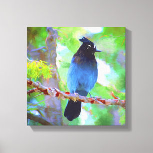 Toile Steller's Jay Painting - Art original pour oiseaux