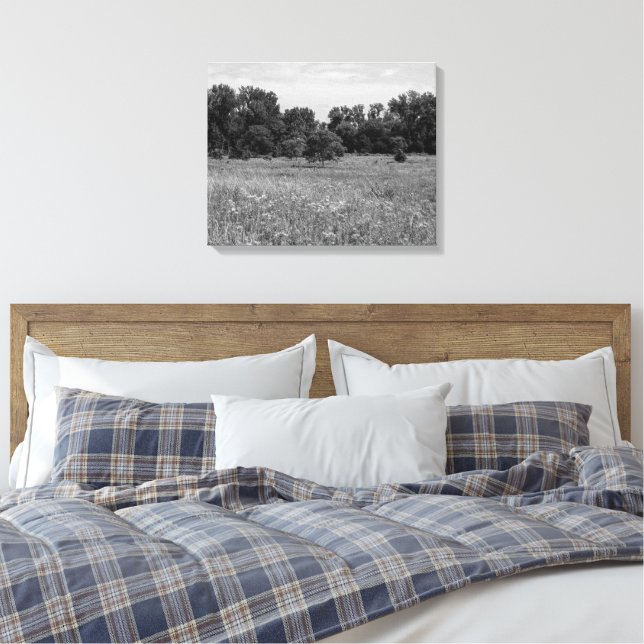 Toile Still Prairie, Cloudy Sky (Insitu(Chambre))