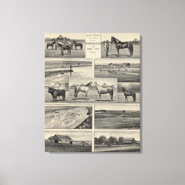 Toile Stock en direct au Kansas (Recto)
