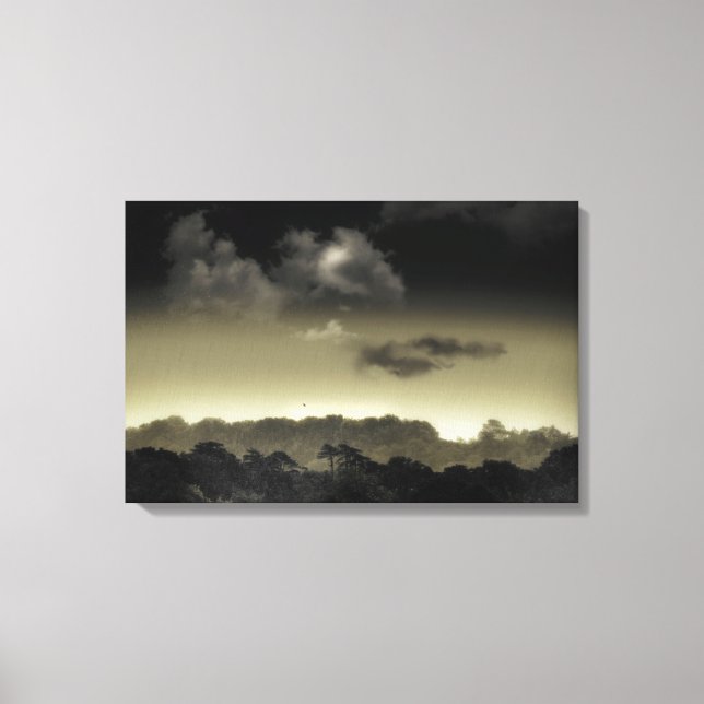 Toile Stocké dans le cloud (Recto)