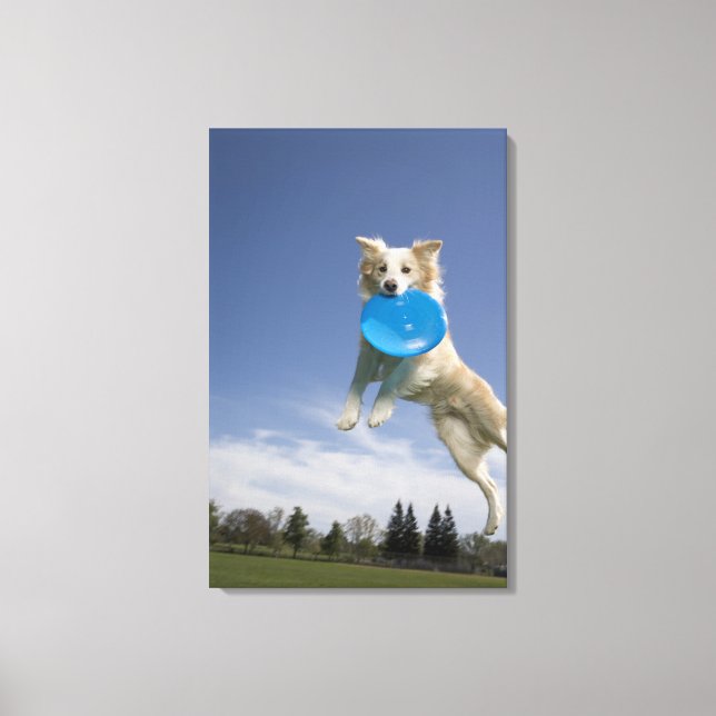 Toile Stockton, Californie, États-Unis (Recto)