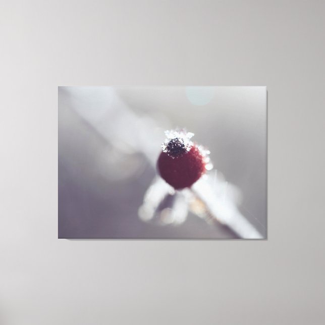 Toile Stretched Canvas Print - Winter Berry (Recto)