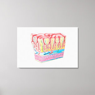 Toile Structure d'anatomie et couches du mur d'estomac