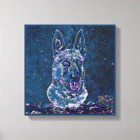 Style Malinois Bleu étoile belge