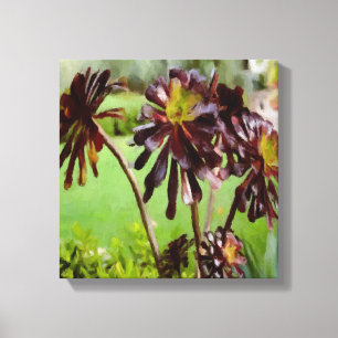 Toile Succulent Brown