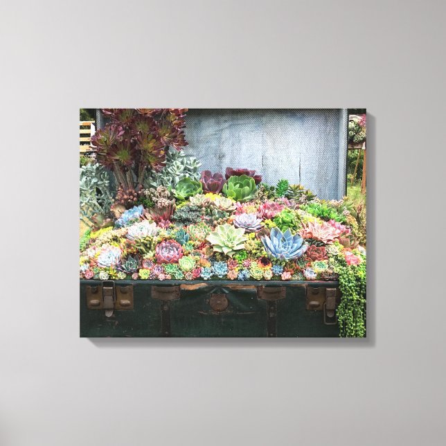 Toile Succulents dans la poitrine au trésor (Recto)