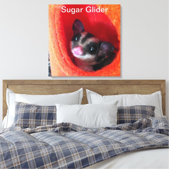 Toile Sugar Glider dans un lit orange suspendu (Insitu(Chambre))