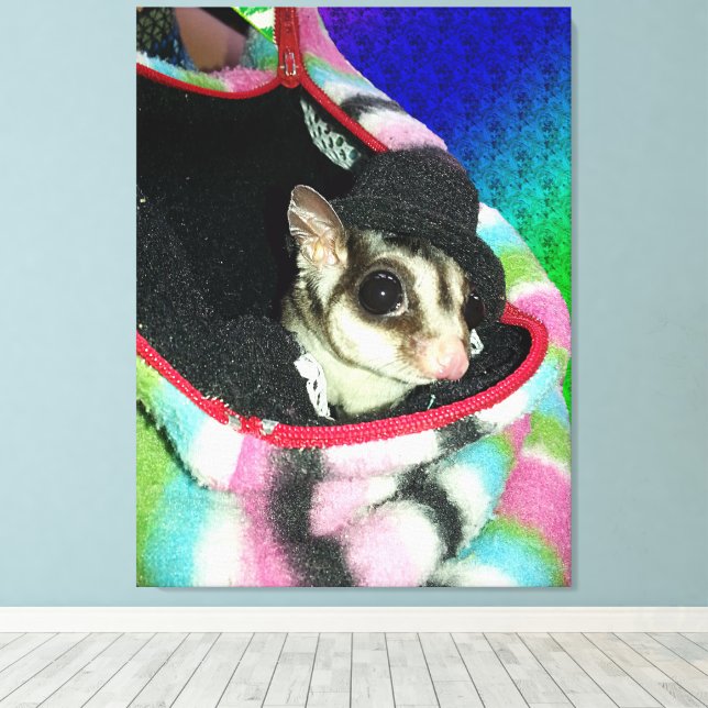 Toile Sugar Glider portant un chapeau (Insitu (Plancher de Bois))