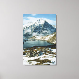 Toile Suisse, Grindelwald, Alpes bernoises, Vue