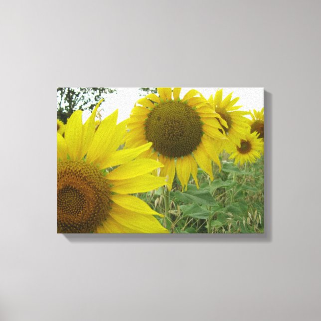 Toile Sunflower Photo simple (Recto)