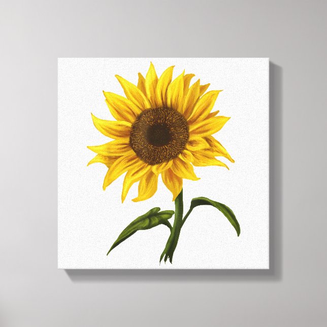 Toile Sunflower Sunshine Floral Aquarelle Fleur (Recto)