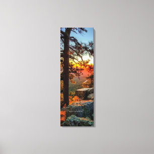 Toile Sunset Mogollon Rim Arizona Pine Trees 12x36